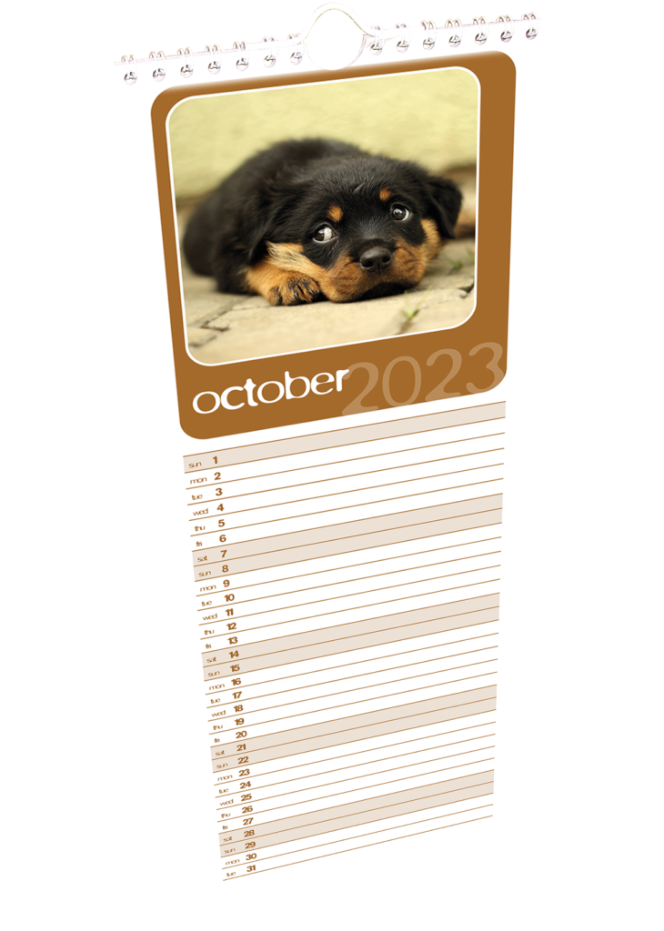 Custom Printed Half A3 Wall Calendars by SwiftPrint